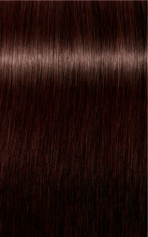 Igora Royal Absolutes 4-70