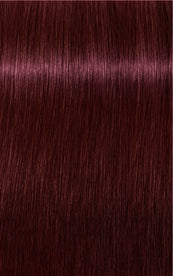 Igora Royal 4-88