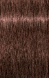 IGORA ROYAL Absolute Age Blend 6-580