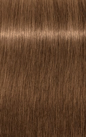 IGORA ROYAL Absolute Age Blend 7-450
