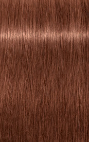 IGORA ROYAL Absolute Age Blend 7-560