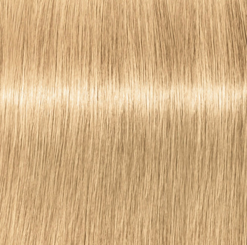 IGORA Vibrance 10-5