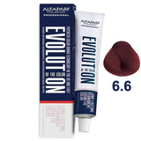 Alfaparf EVOLUTION 6.6