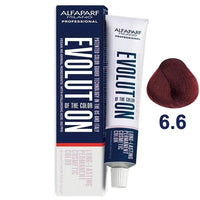 Alfaparf EVOLUTION 6.6