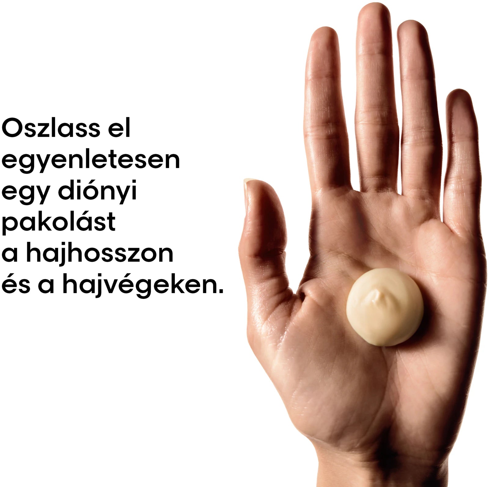 Serie Expert Absolute Repair Pakolás 500ml