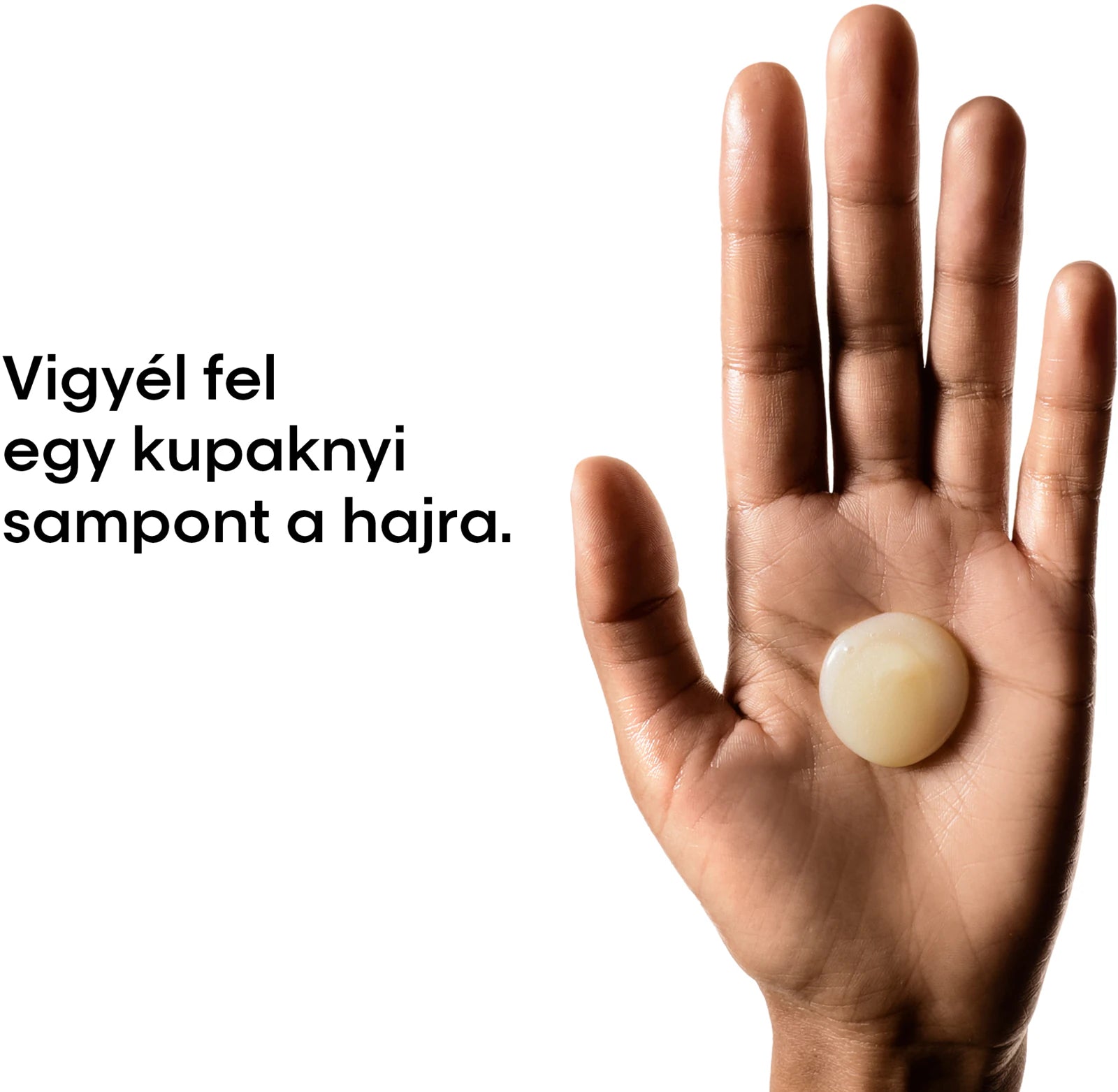 Serie Expert Absolute Repair Sampon Refill 500ml