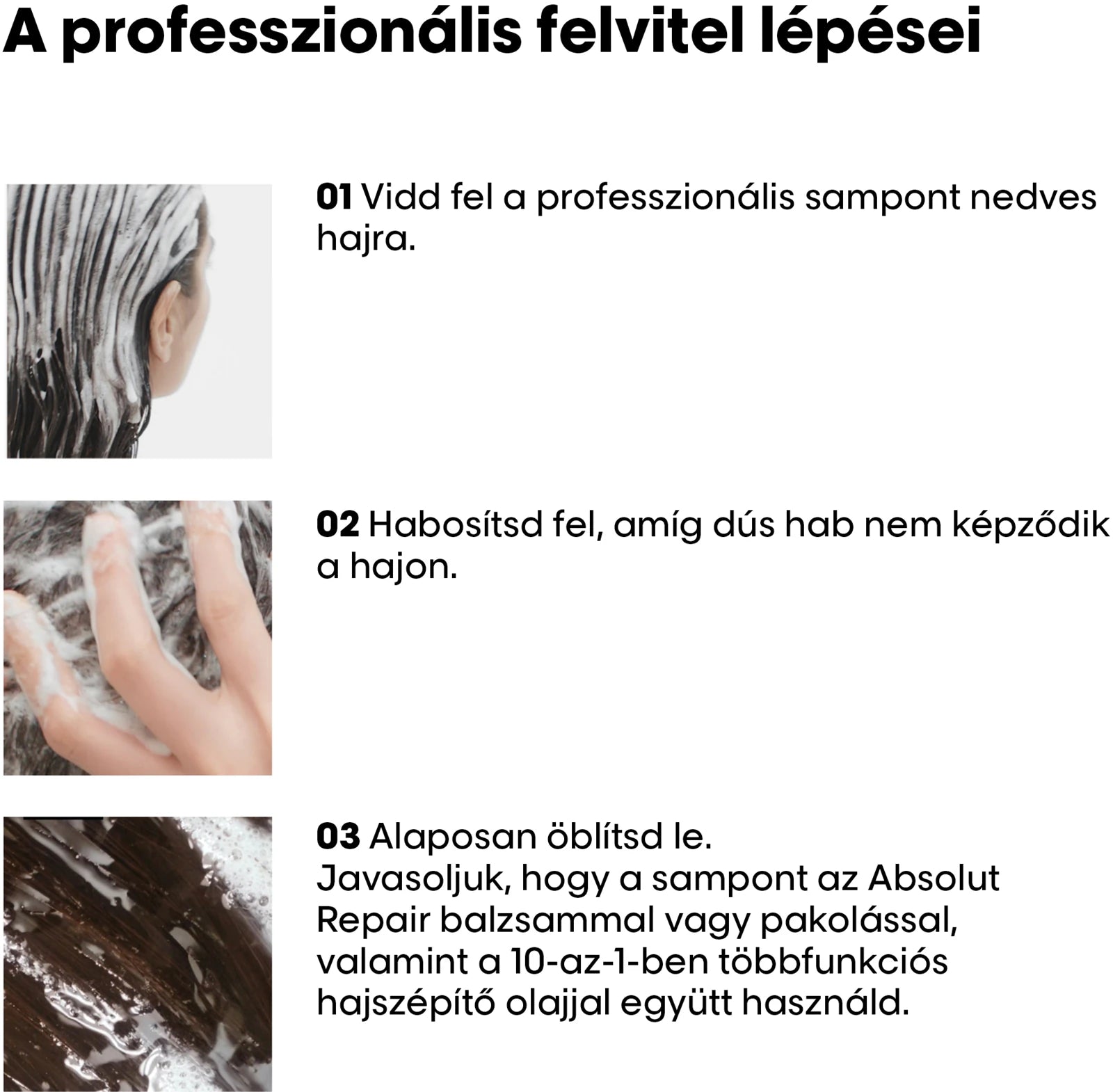 Serie Expert Absolute Repair Sampon Refill 500ml