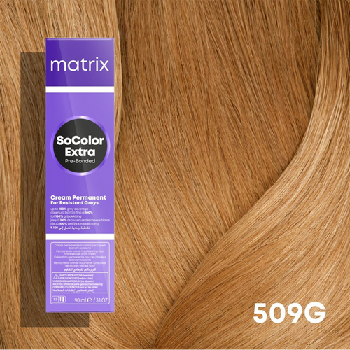 Socolor 90ml 509G / 9.3